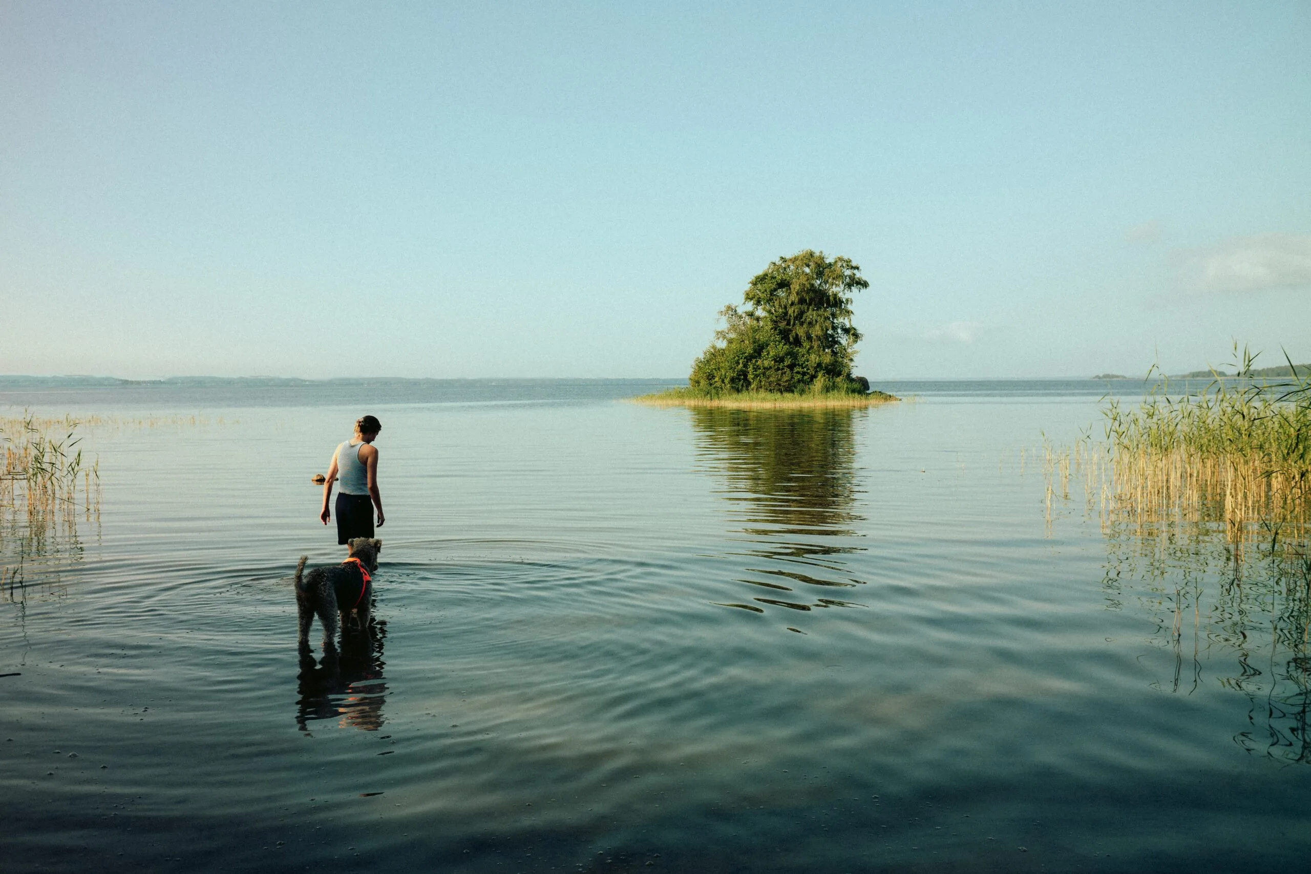 vincent-eisfeld-wI9oHq8TeBg-unsplash(2)